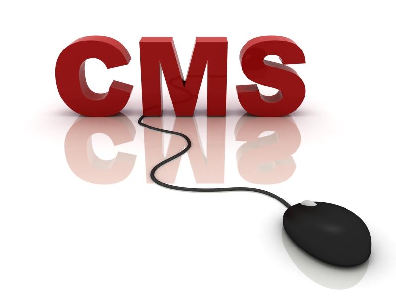 CMS Web Development Services Baroda